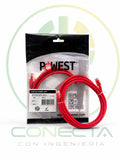 PATCH CORD UTP CAT 6A 10FT ROJO